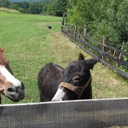 Apartment Skulova Vodenica Mokra Gora