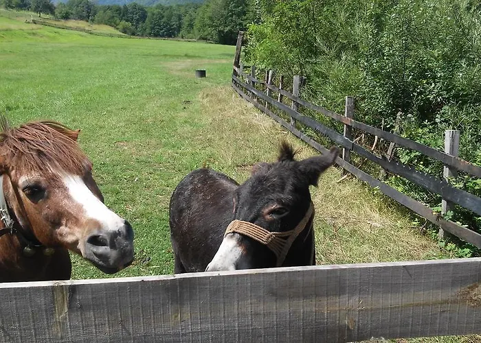 شقة Skulova Vodenica موكرا غورا